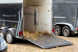 Rider sweeping the ramp to clean a horsebox before returning it to the hire company