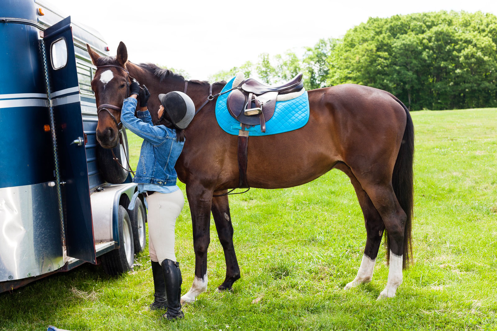 Horsebox parked at a livery yard for long-term horsebox hire through the competition season